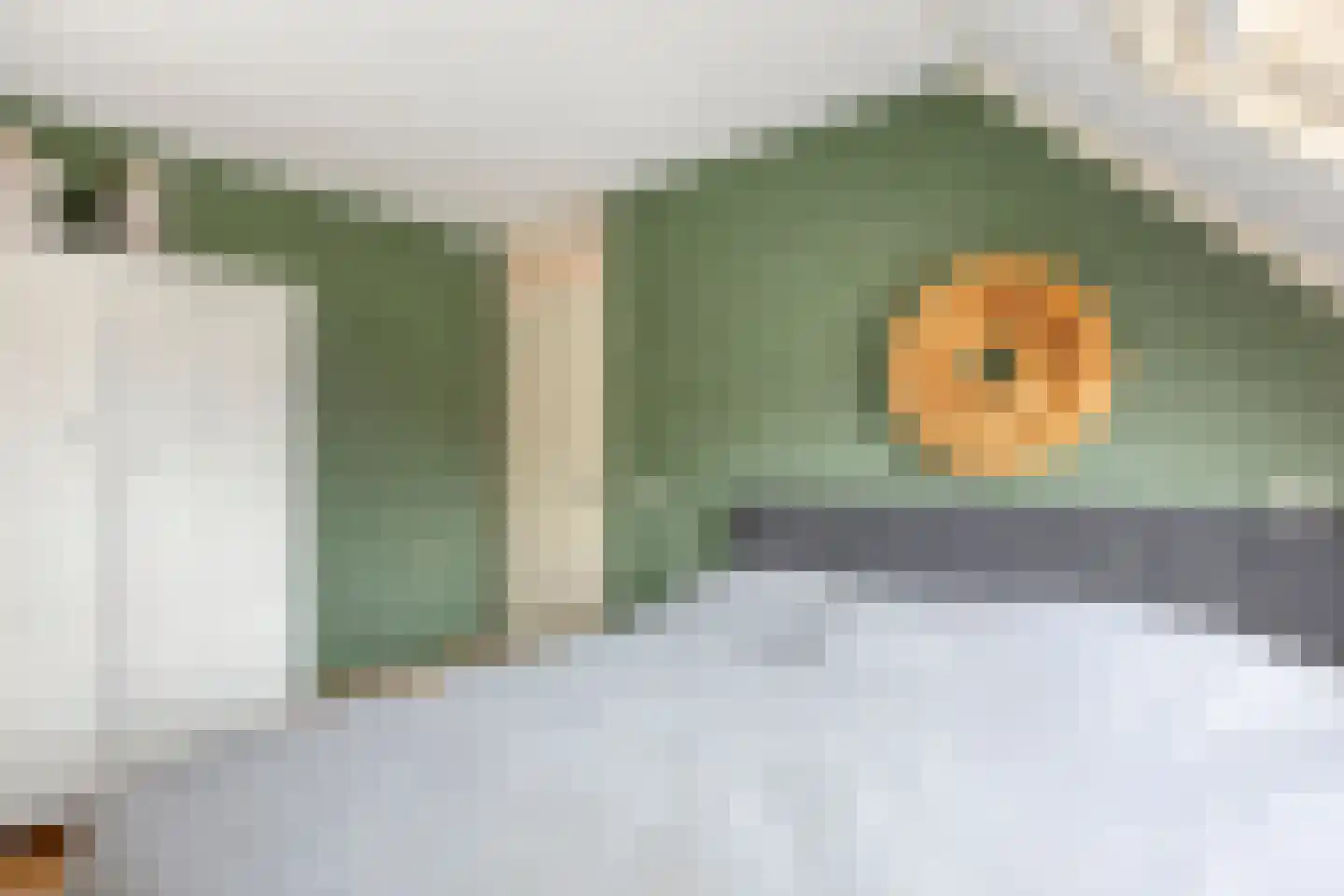 Hof van Waarder 33 Waarder thumbnail 14