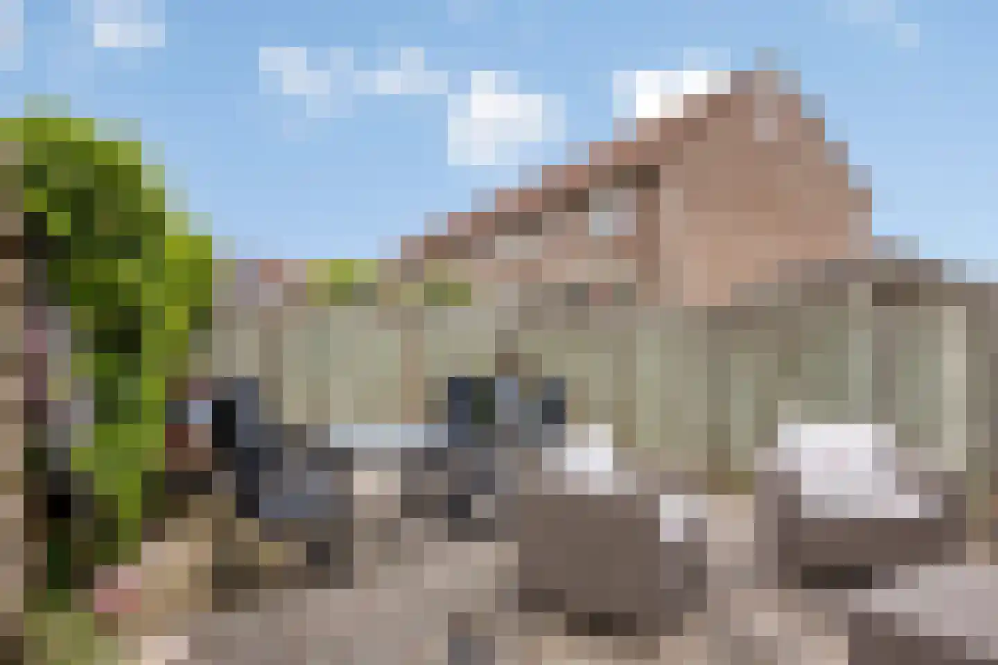 Hof van Waarder 33 Waarder thumbnail 23