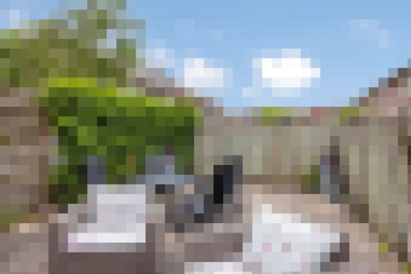Hof van Waarder 33 Waarder thumbnail 25