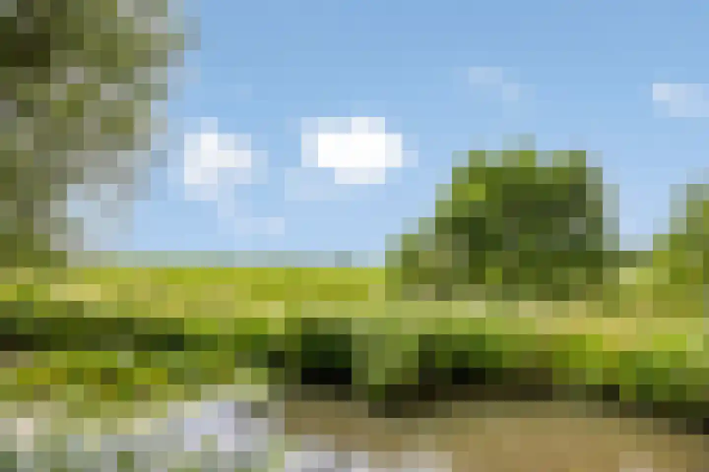 Hof van Waarder 33 Waarder thumbnail 31