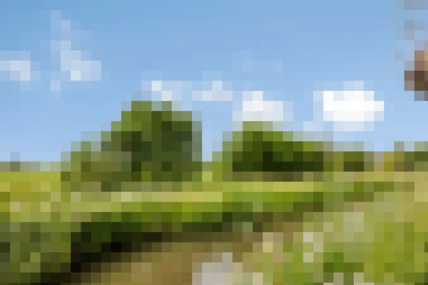 Hof van Waarder 33 Waarder thumbnail 32