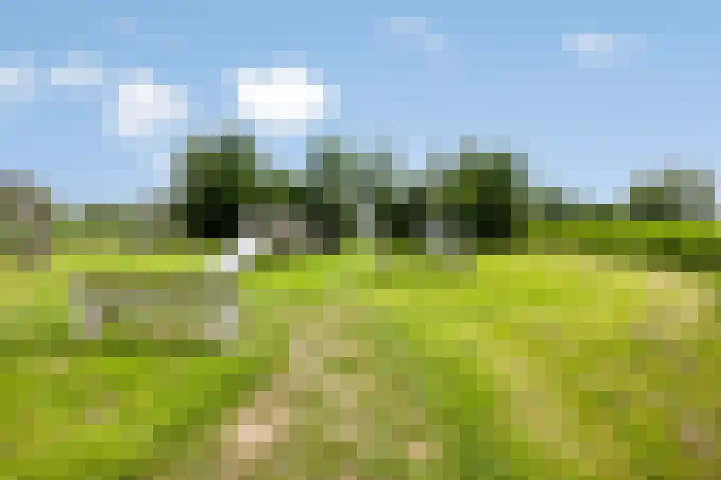 Hof van Waarder 33 Waarder thumbnail 34