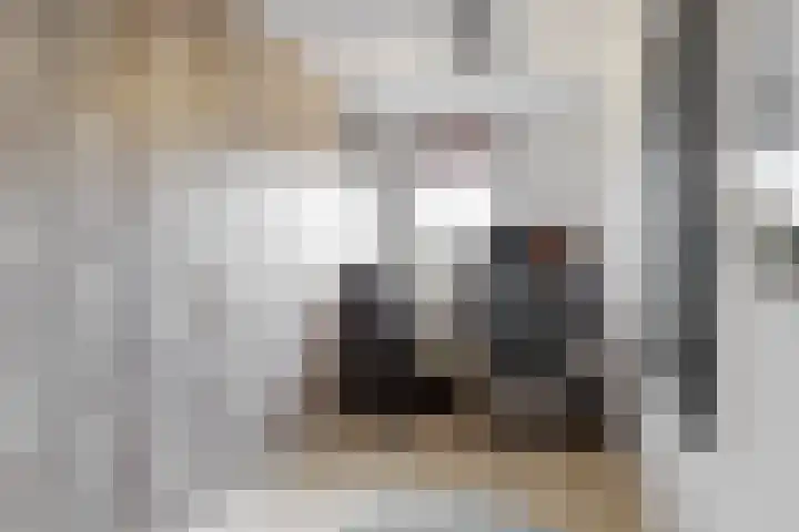Hof van Waarder 52 Waarder thumbnail 13