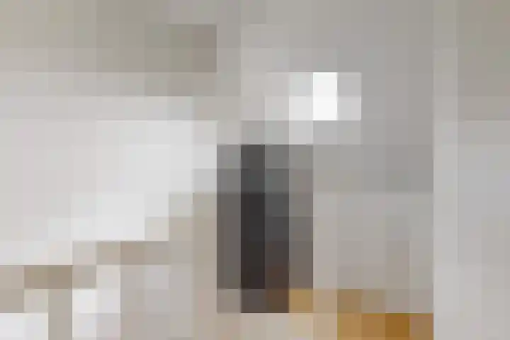 Hof van Waarder 52 Waarder thumbnail 23