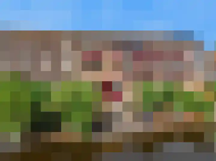 Hof van Waarder 52 Waarder thumbnail 26