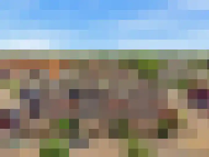 Hof van Waarder 52 Waarder thumbnail 29