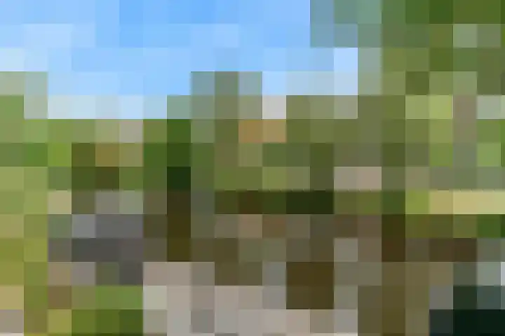 Hof van Waarder 52 Waarder thumbnail 4