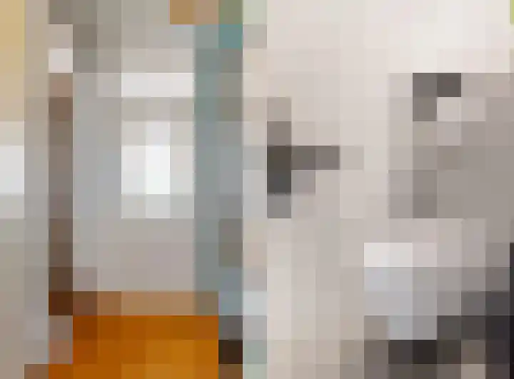 Hof van Waarder 52 Waarder thumbnail 6