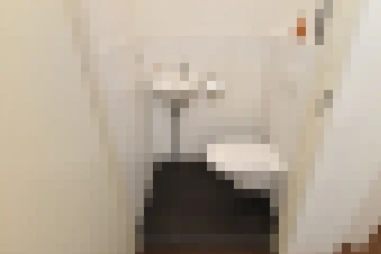 Hof van Wassenaer 5 Nootdorp thumbnail 8
