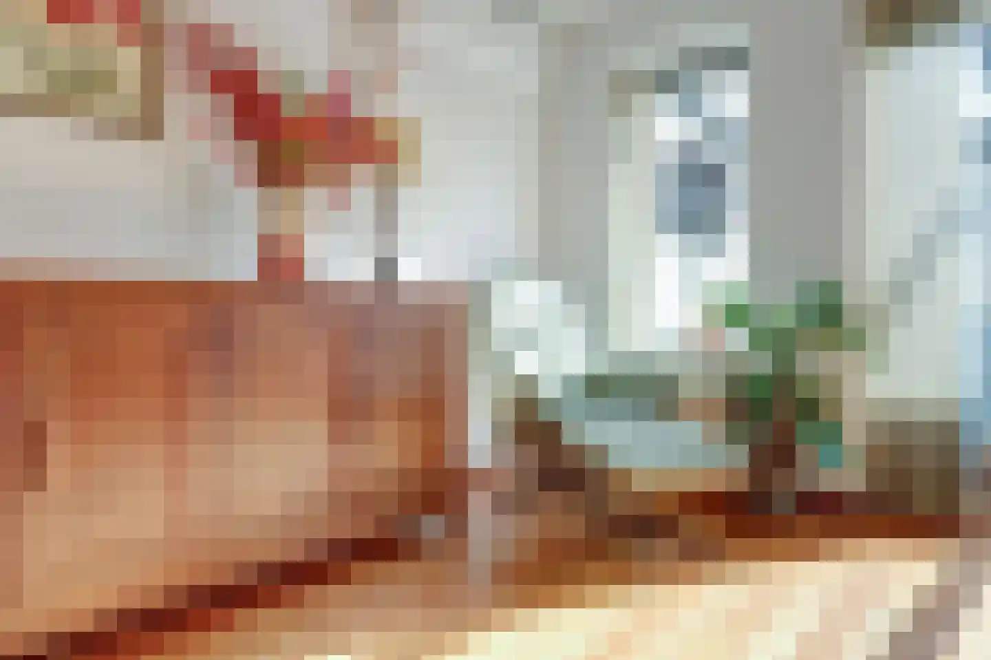Hof van Wederden 21 Wierden thumbnail 11