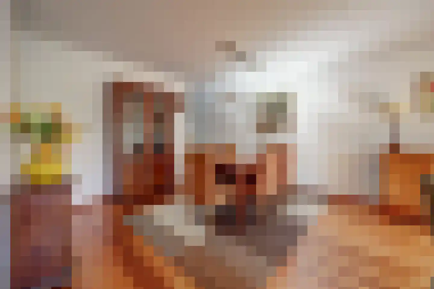 Hof van Wederden 21 Wierden thumbnail 14