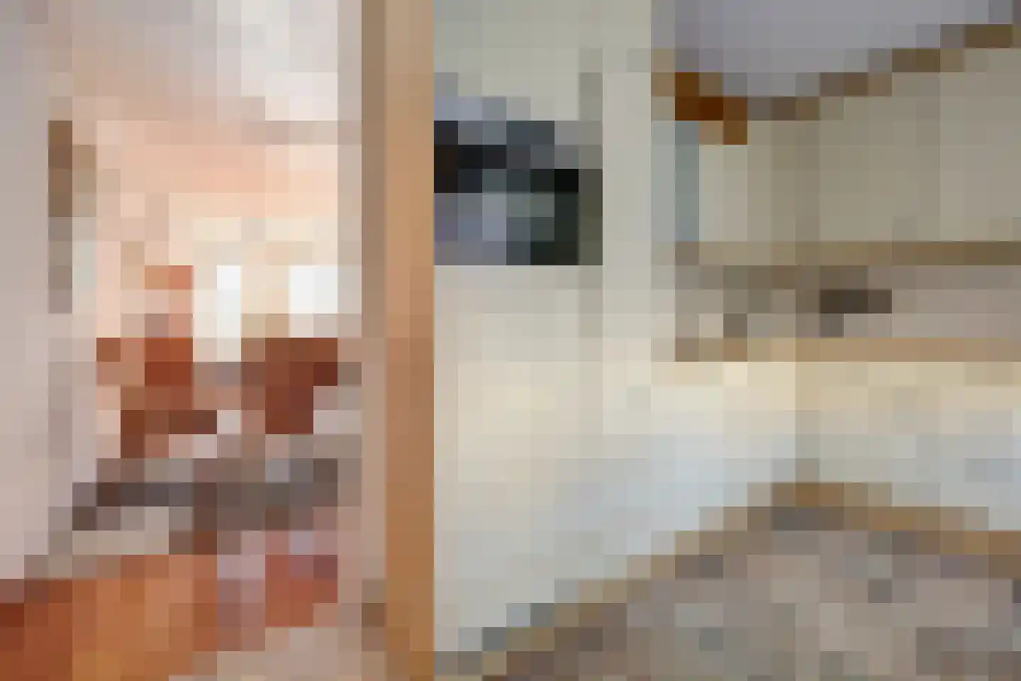 Hof van Wederden 21 Wierden thumbnail 17