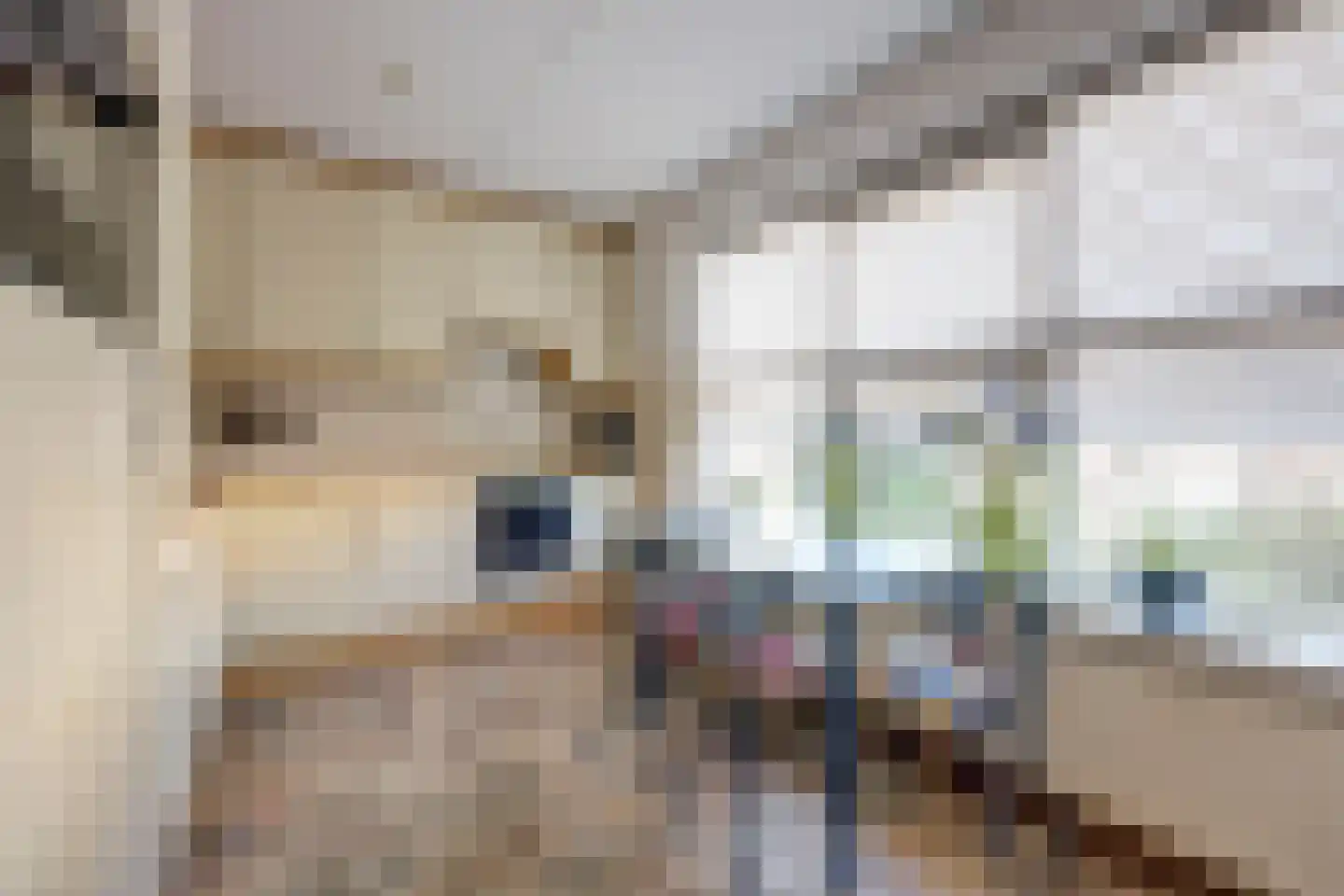 Hof van Wederden 21 Wierden thumbnail 18