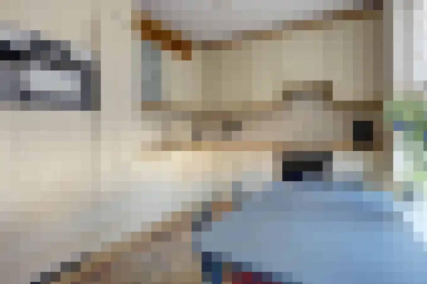 Hof van Wederden 21 Wierden thumbnail 19
