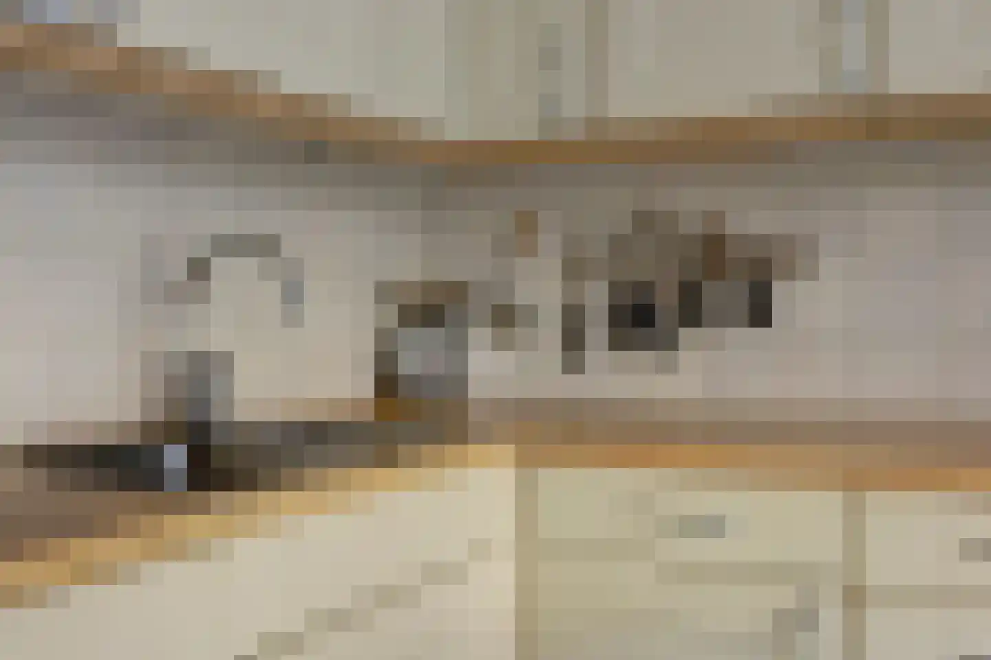 Hof van Wederden 21 Wierden thumbnail 20
