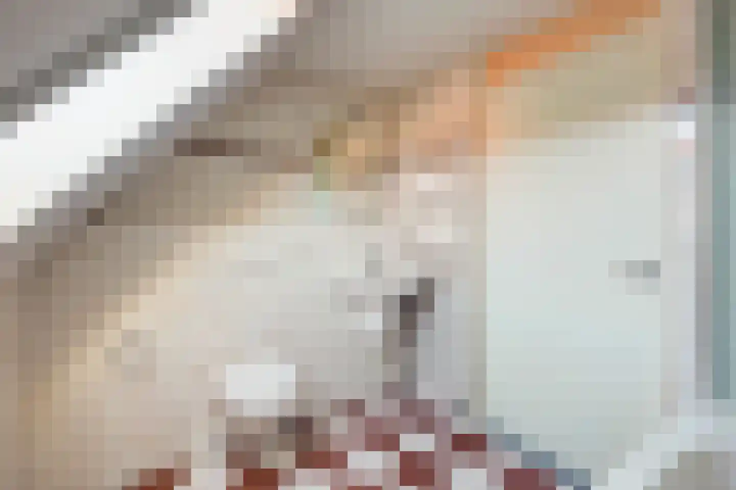 Hof van Wederden 21 Wierden thumbnail 37