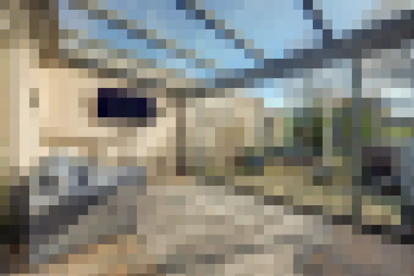 Hof van Wederden 21 Wierden thumbnail 39