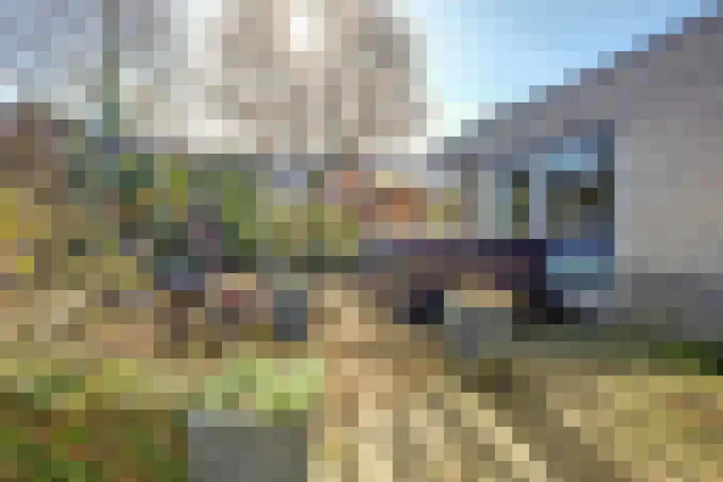 Hof van Wederden 21 Wierden thumbnail 42