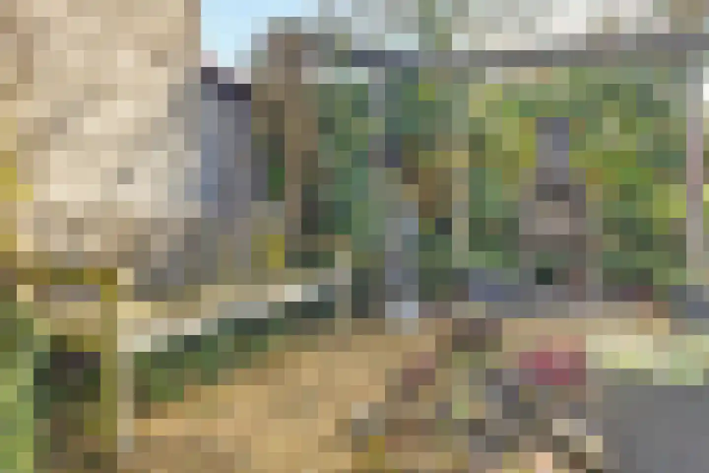 Hof van Wederden 21 Wierden thumbnail 43