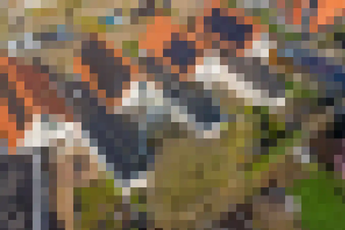 Hof van Wederden 21 Wierden thumbnail 44