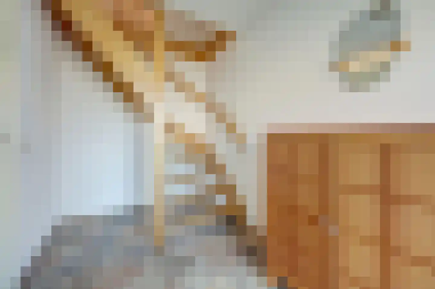 Hof van Wederden 21 Wierden thumbnail 9