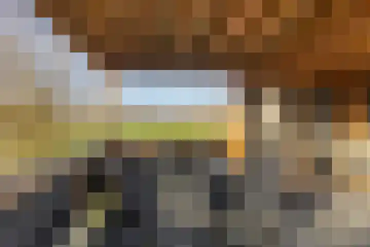 Hof van Wederden 7 Wierden thumbnail 14