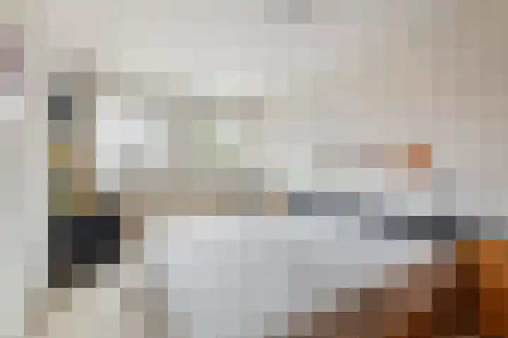 Hof van Wederden 7 Wierden thumbnail 19