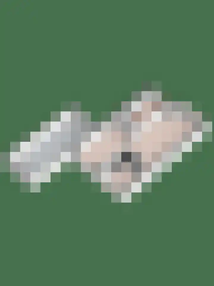 Hof van Wederden 7 Wierden thumbnail 37