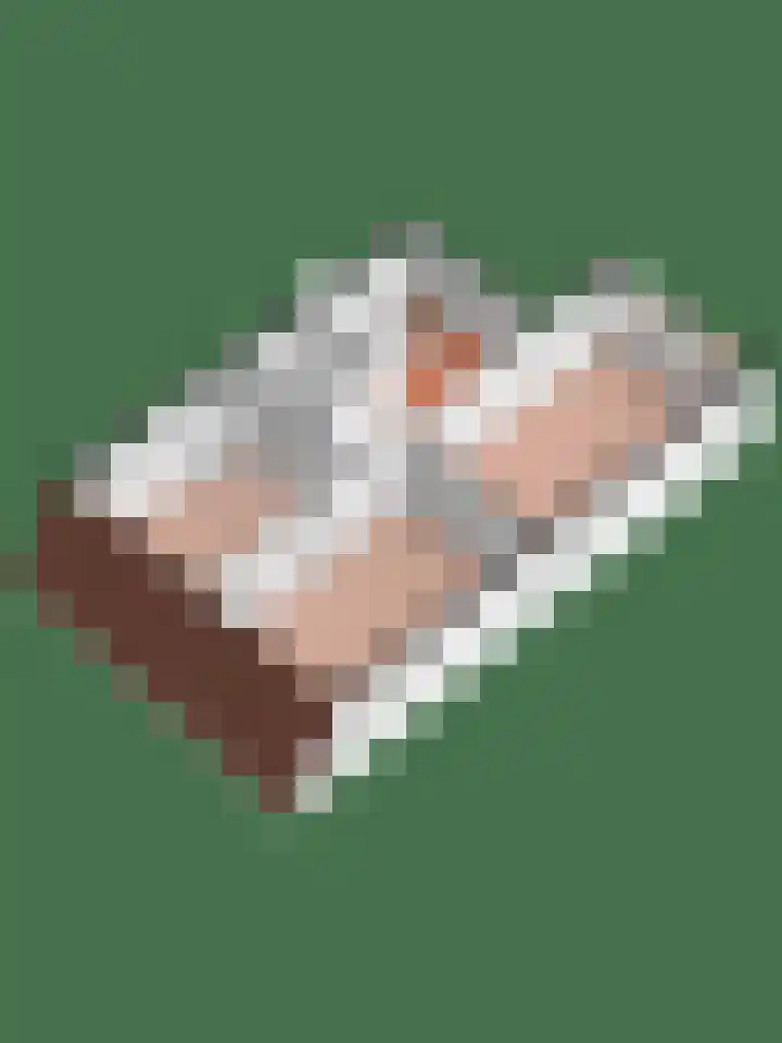 Hof van Wederden 7 Wierden thumbnail 41