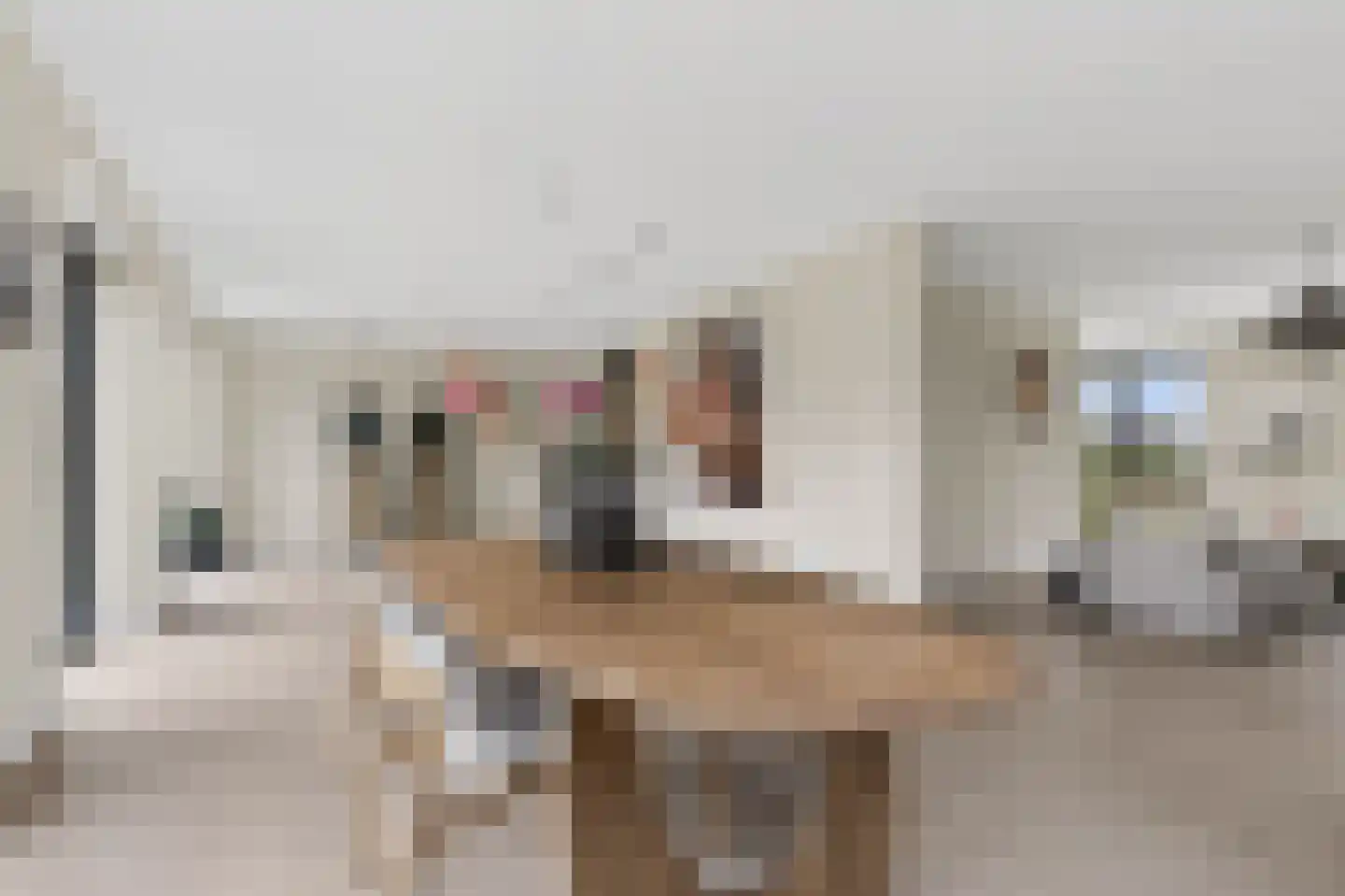 Hof van Welleveld 1 Duiven thumbnail 18