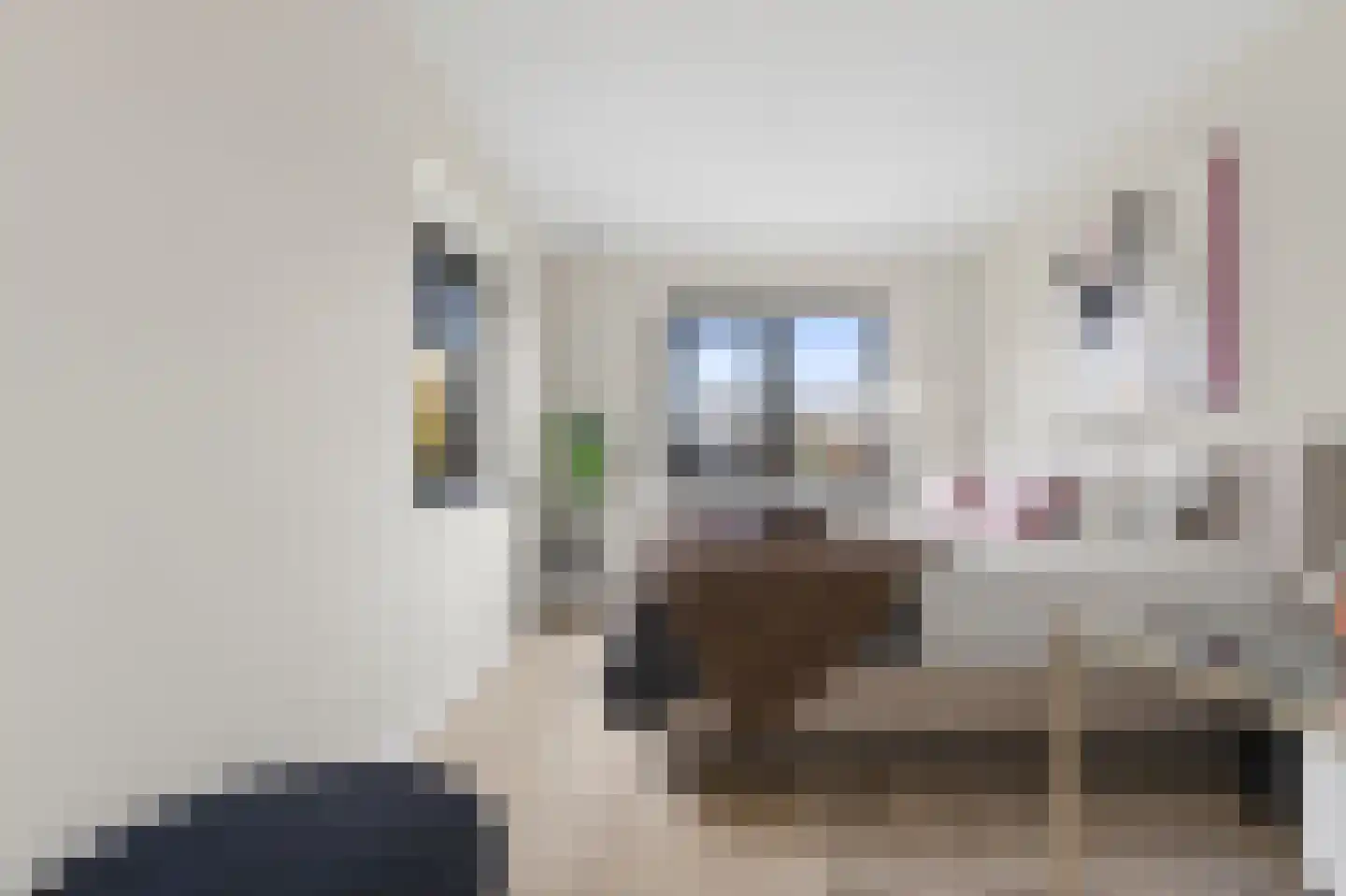 Hof van Welleveld 1 Duiven thumbnail 34