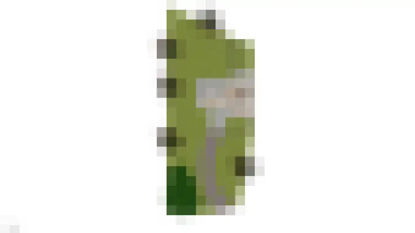 Hof van Welleveld 1 Duiven thumbnail 58
