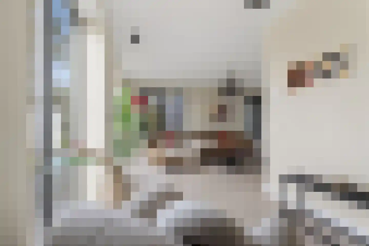Hof van Welleveld 1 Duiven thumbnail 8
