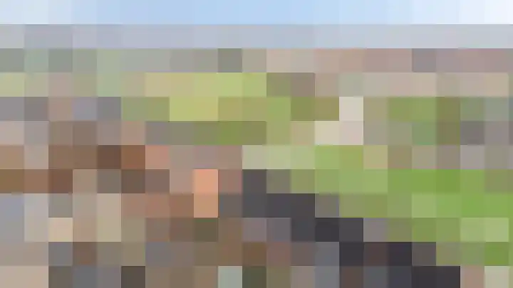 Hof van Wenen 25 Doetinchem thumbnail 43