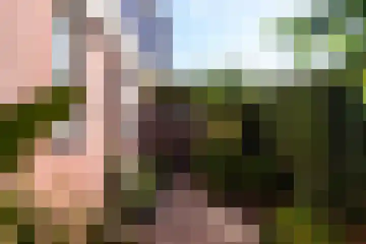 Hof van Wenen 48 Doetinchem thumbnail 105