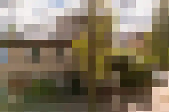 Hof van Wenen 48 Doetinchem thumbnail 11