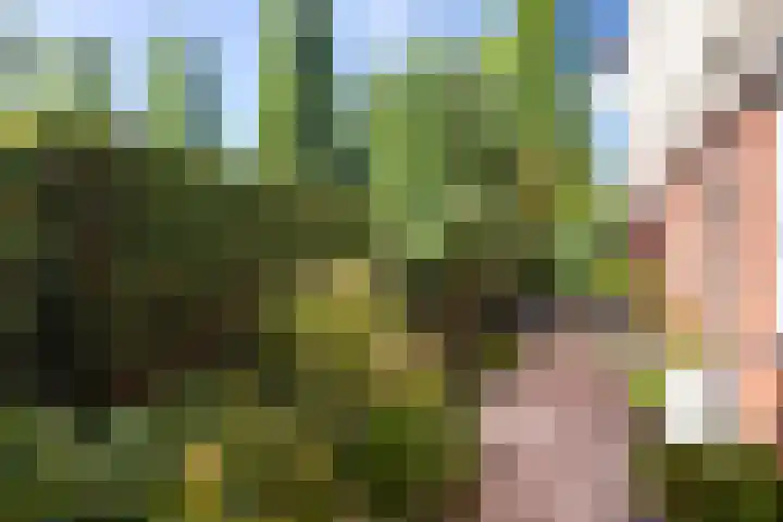 Hof van Wenen 48 Doetinchem thumbnail 110