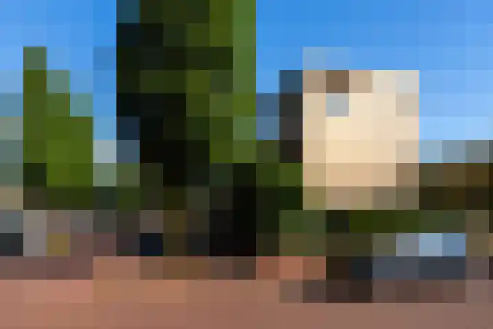 Hof van Wenen 48 Doetinchem thumbnail 123