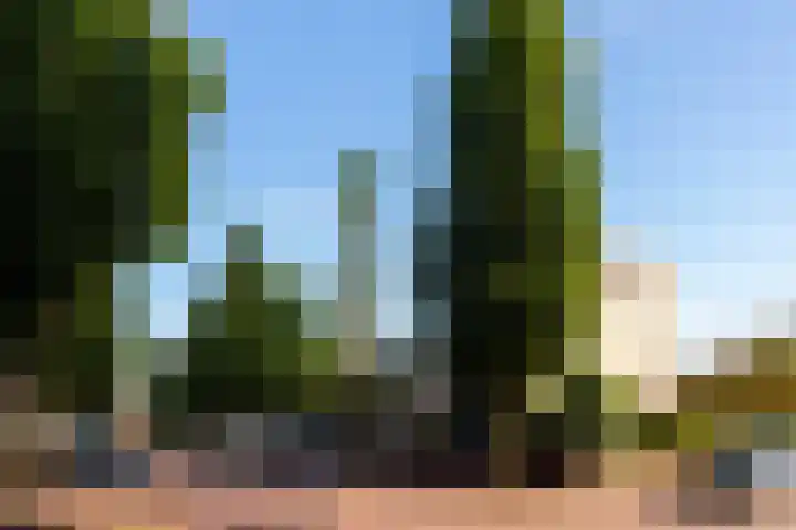 Hof van Wenen 48 Doetinchem thumbnail 127
