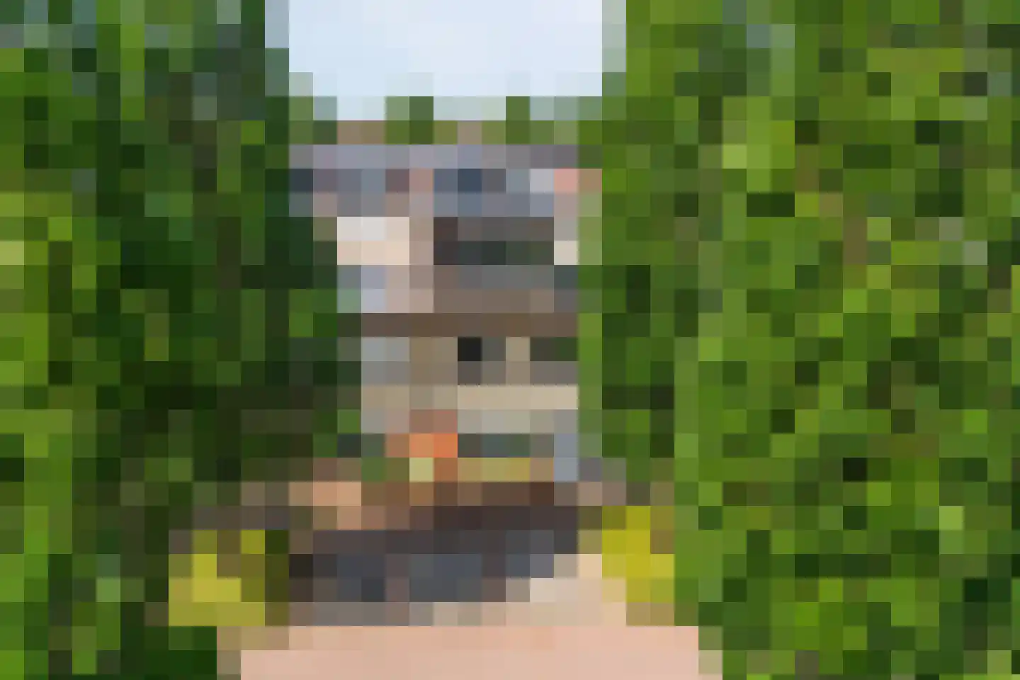 Hof van Wenen 79 Doetinchem thumbnail 31
