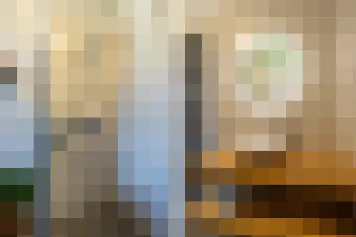 Hof van Wesse 33 Zutphen thumbnail 20
