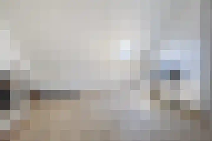 Hof van Wesse 33 Zutphen thumbnail 23