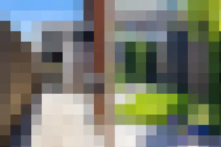 Hof van Wesse 33 Zutphen thumbnail 28