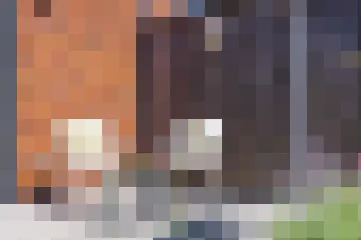 Hof van Wesse 33 Zutphen thumbnail 29