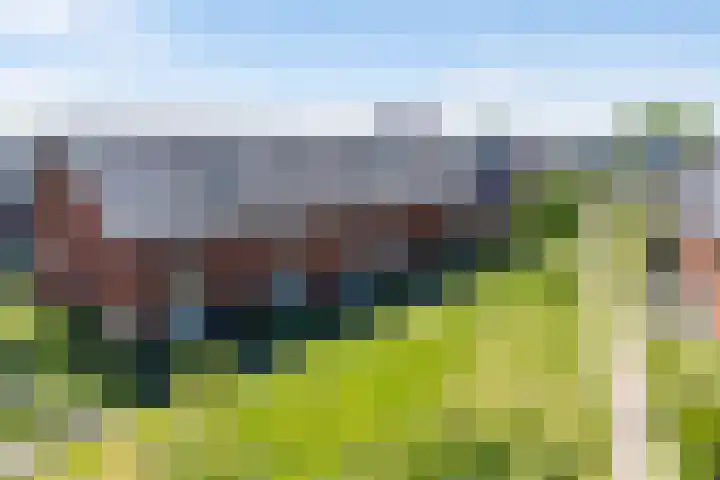 Hof van Wesse 33 Zutphen thumbnail 36