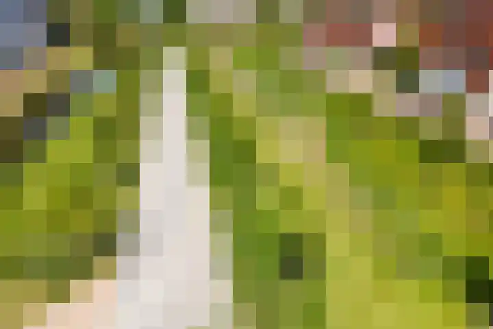 Hof van Wesse 33 Zutphen thumbnail 38