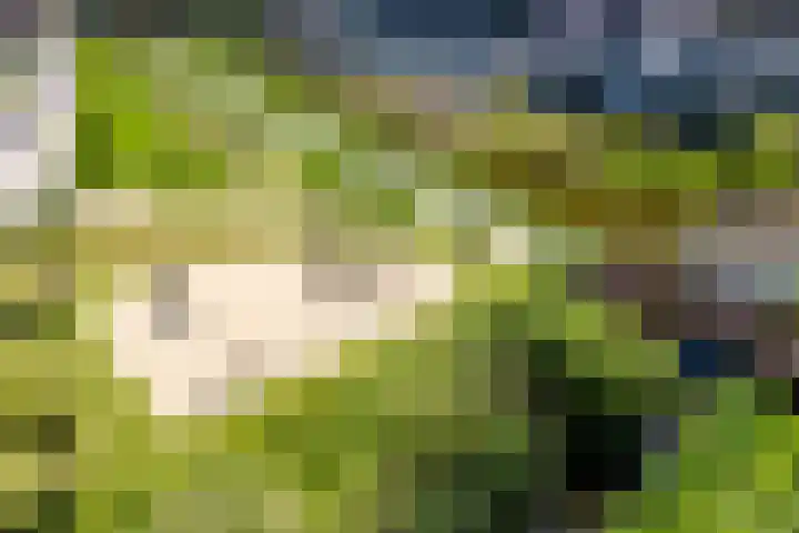 Hof van Wesse 33 Zutphen thumbnail 39