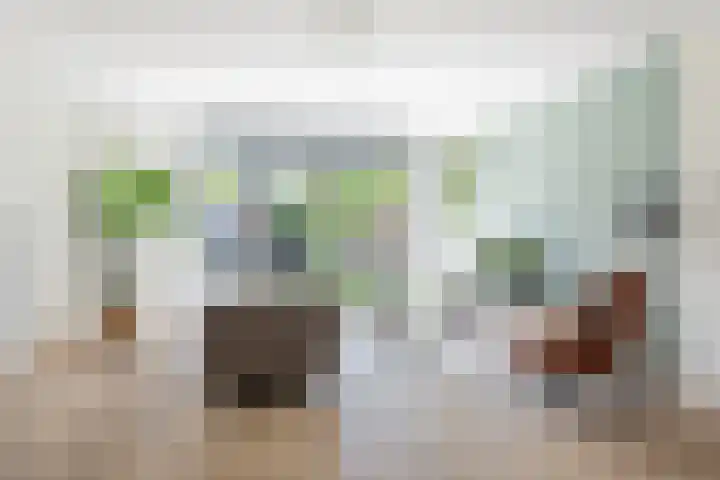 Hof van Wesse 33 Zutphen thumbnail 4