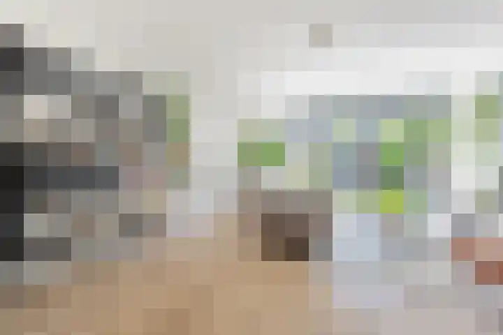Hof van Wesse 33 Zutphen thumbnail 5