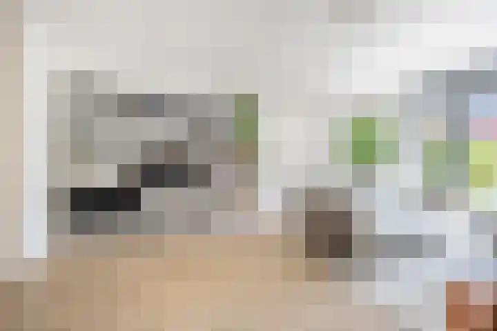 Hof van Wesse 33 Zutphen thumbnail 6